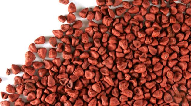 Annatto seed