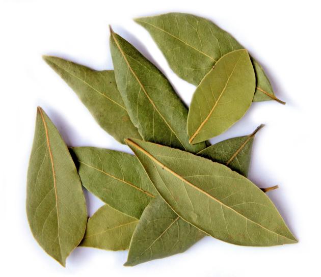 Bay leaf