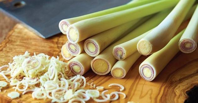 Lemongrass with high quality