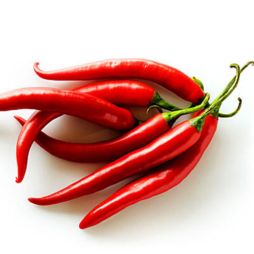 Fresh Chilli