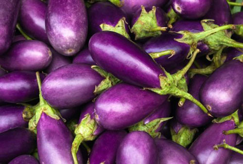 Eggplant