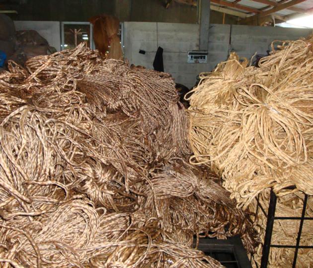 Water Hyacinth Rope