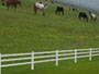 sell farm fence