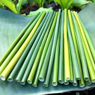 Grass Straw - Compostable Drinking Straws