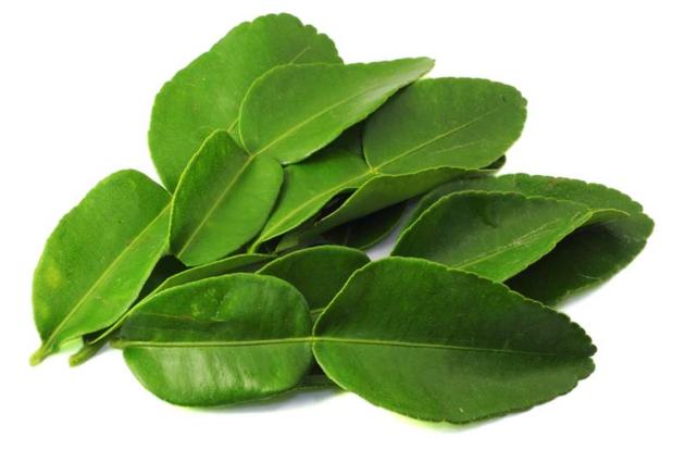 Lime Leaf