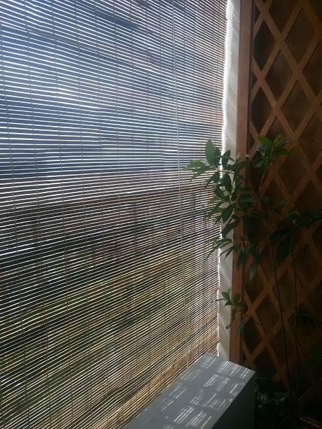 Bamboo Blind