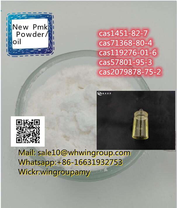 New Bmk Powder CAS 1451 82