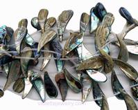 paua shell beads