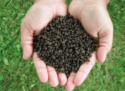 Bat Guano/ Bat Manure