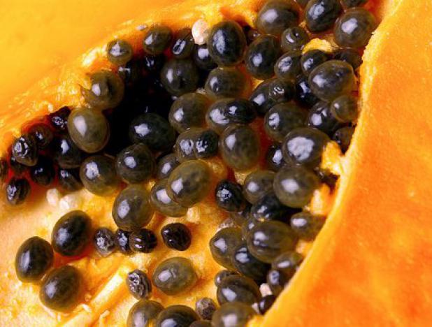 Papaya seeds