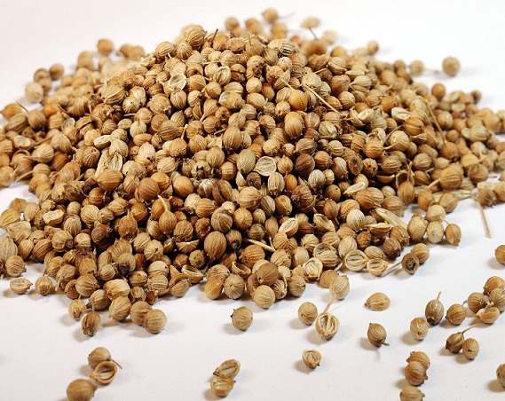 Coriander seeds