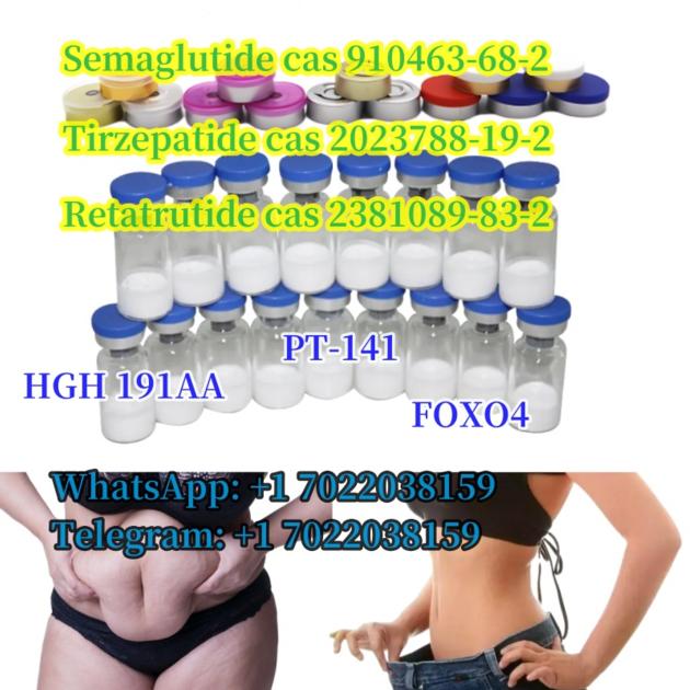 Bodybuild peptides Semaglutide cas 910463-68-2 Tirzepatide BPC 157