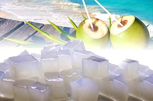 Coconut Jelly/ Nata de coco