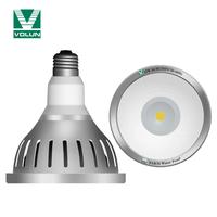 COB LED PAR30 Water Proof