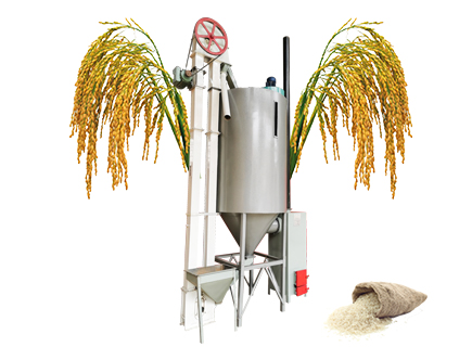 Paddy Rice Dryer