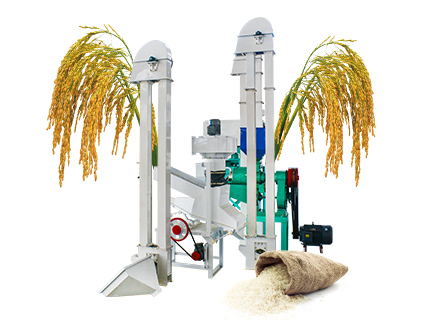Professional Mini Rice Mill Plant For