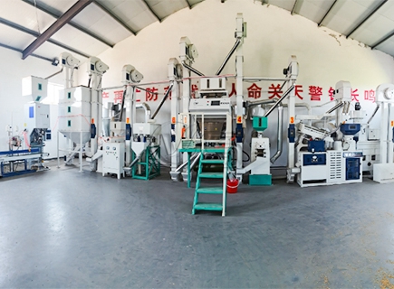 Modern 20T D Rice Mill Plant