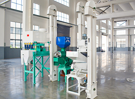 Professional Mini Rice Mill Plant For