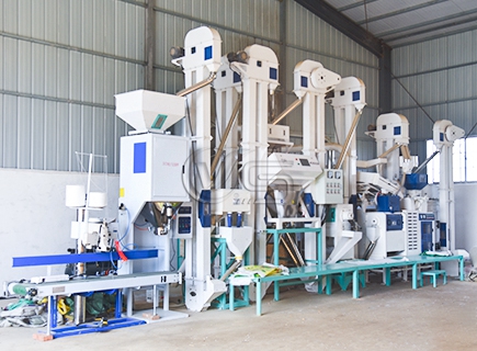  Modern 20T/D Rice Mill Plant for Sale