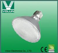 PAR30 LED Spotlight 
