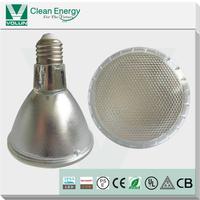 SMD LED PAR38
