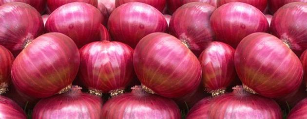 Onion