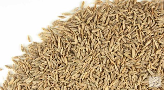 Cumin Seeds