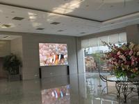 P7.62 Indoor Full-color scree