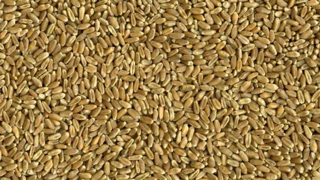 USA Hard Red Wheat