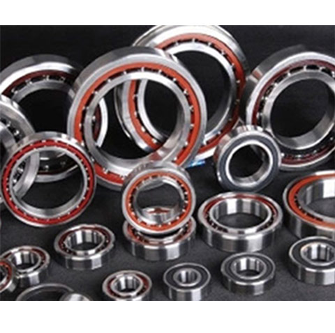 Double Row Angular Contact Ball Bearing