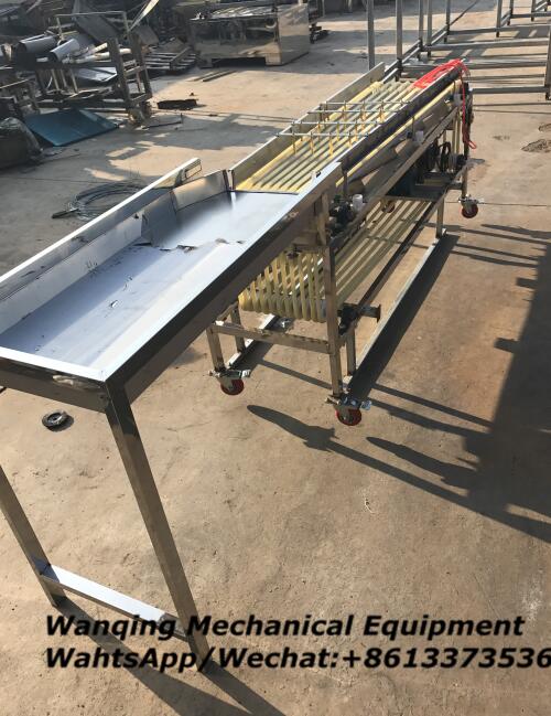 West plum sorting machine industry leader