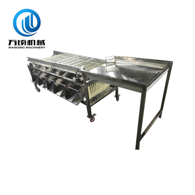 Automatic dates sorting machine auto medjool date size grading equipment favorite price on sale