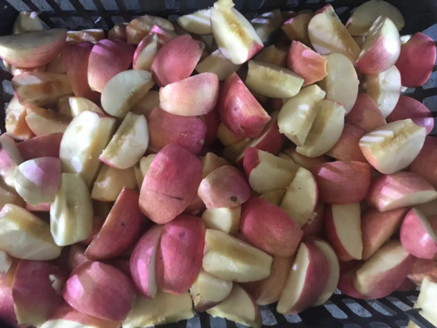 Apple Core Removing And Petal Cutting