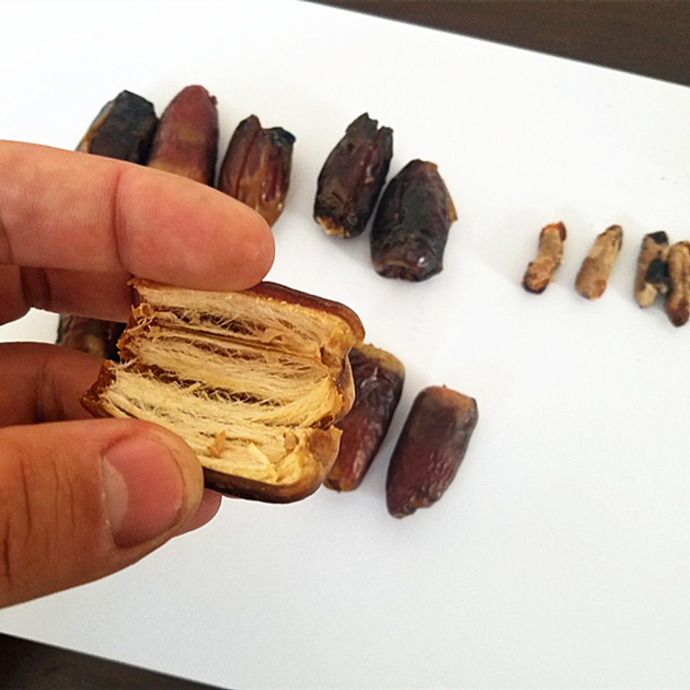 Dates Pitter Mechanical Equipment Remove Seeds