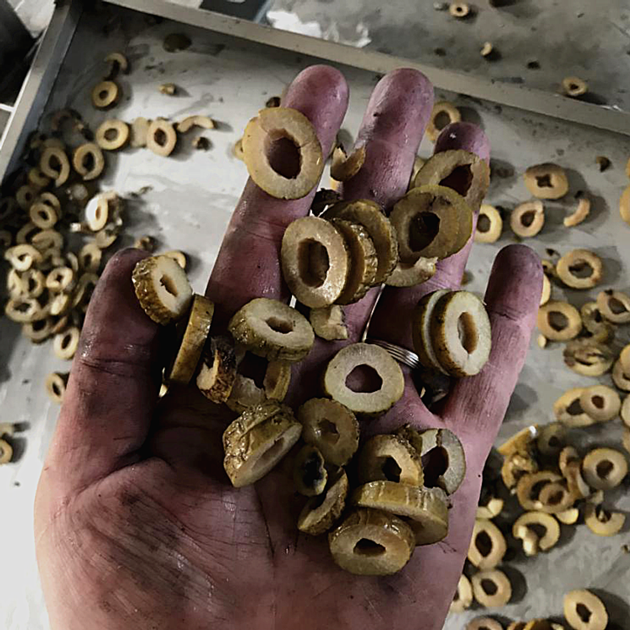 Chain Type Olives Pitting Machine Equipment