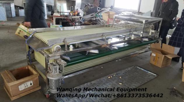 Apricot Sorting Machine Cost Performance Is