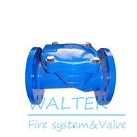 Swing Check Valve