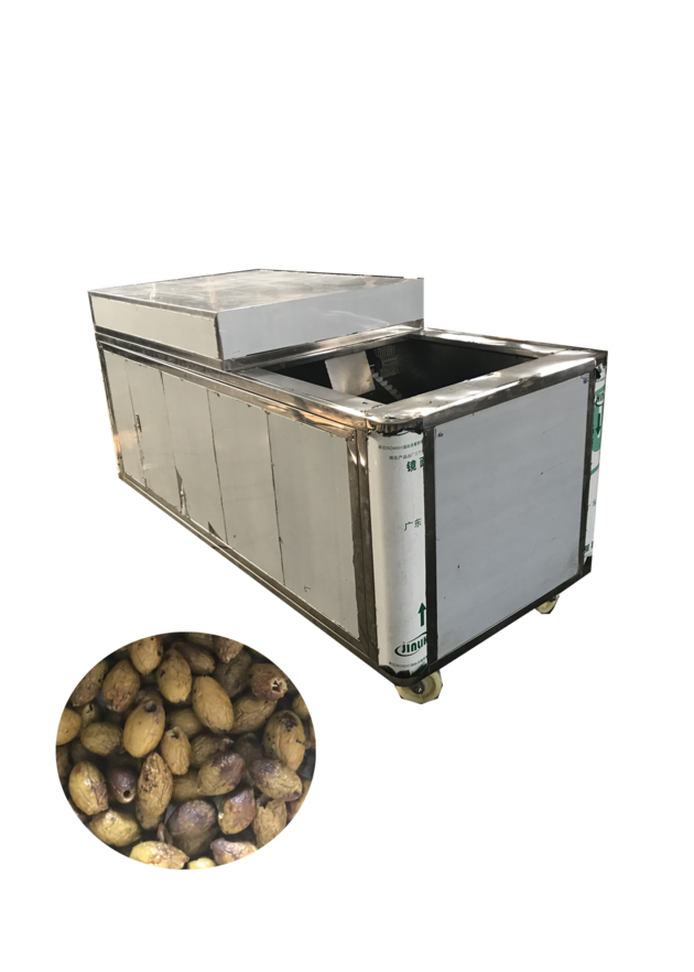 Olive pitting machine