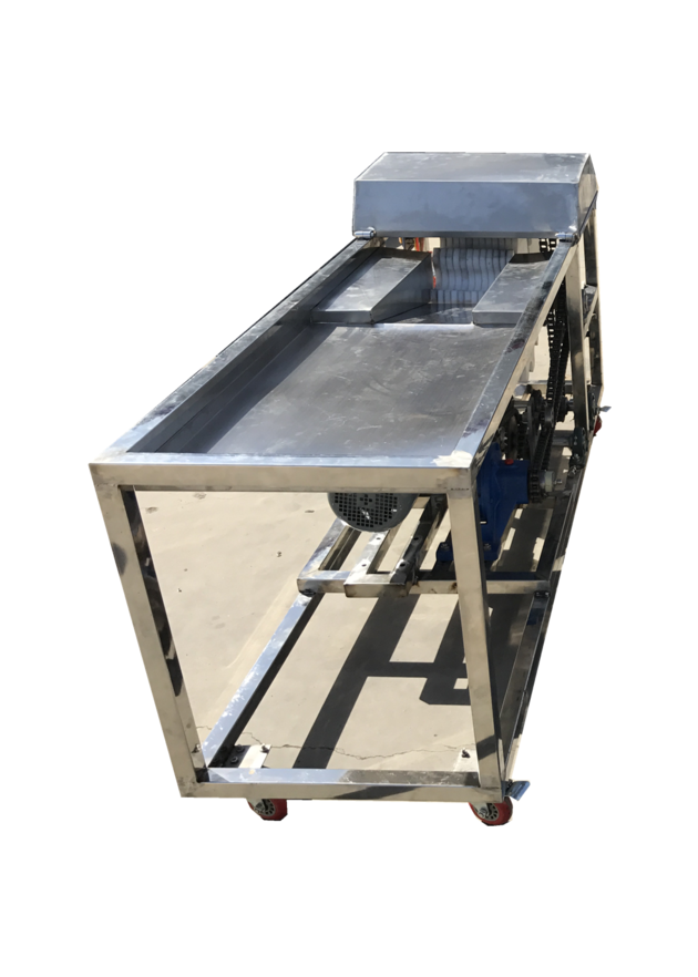 Carrot Cutting Machine