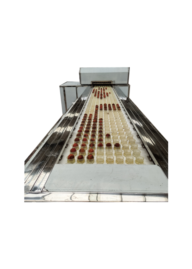 Litchi Pitting Machine