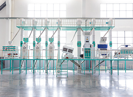 60ton Day Rice Mill Machine Production