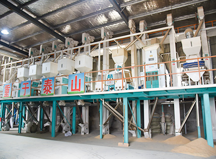 100ton Day Automatic Rice Mill Production