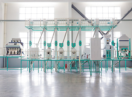 38ton Day Rice Mill Machine Production
