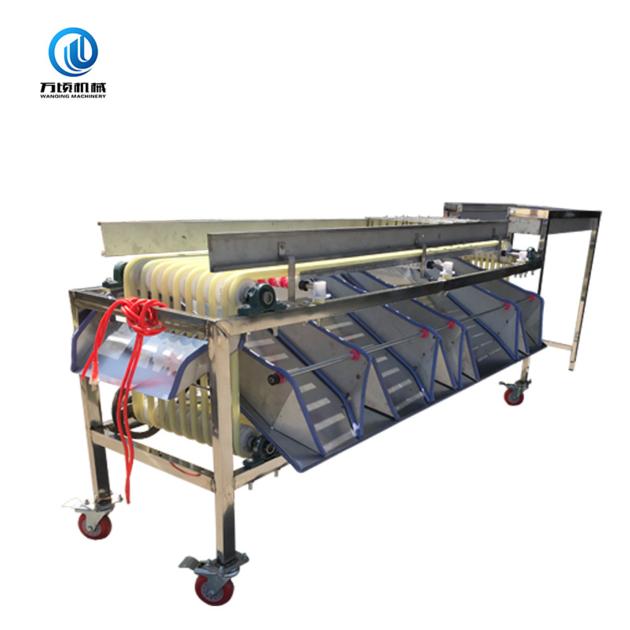 Cherry Olive Date Pitting Processing Line