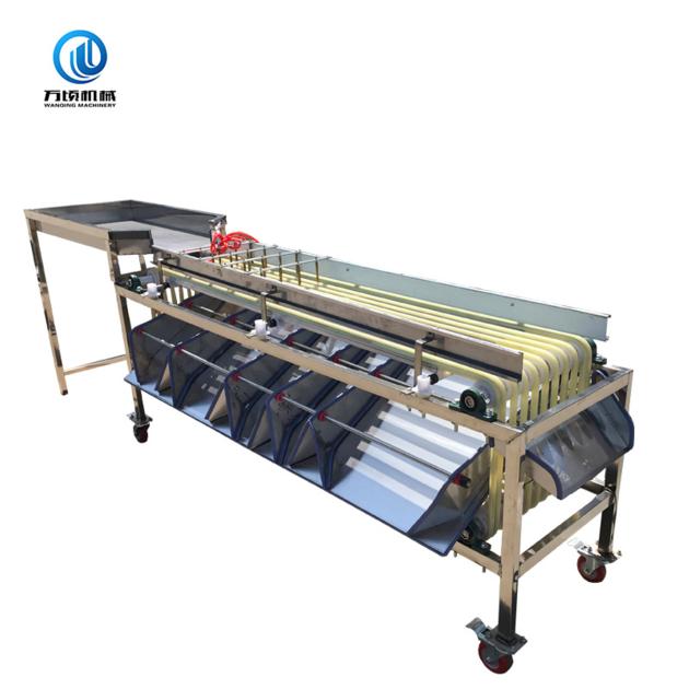 Cherry Olive Date Pitting Processing Line
