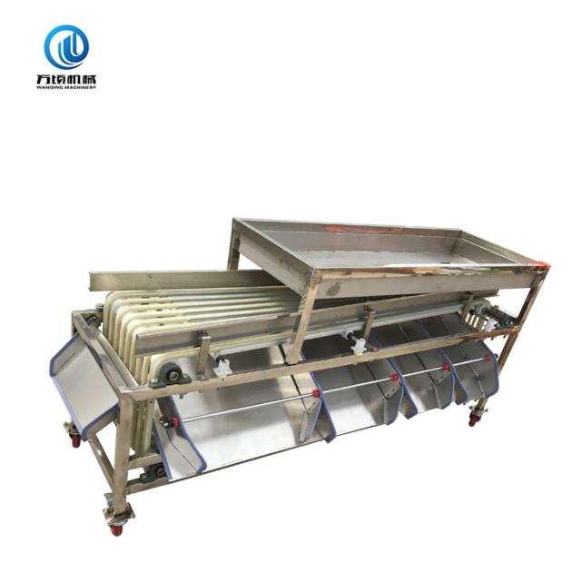 Cherry Olive Date Pitting Processing Line