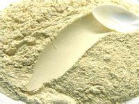 Green Red Papaya Powder All Natural Raw Food Bulk Sale