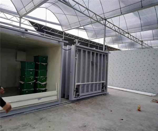 hot sale Effective vegetabl cooler/vacuum cooler machine for vegetable, fruits and flower