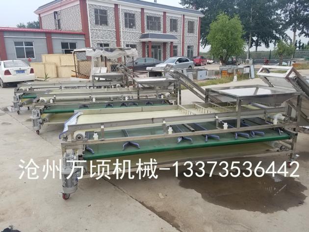Automatic Dates Sorting Machine Auto Medjool