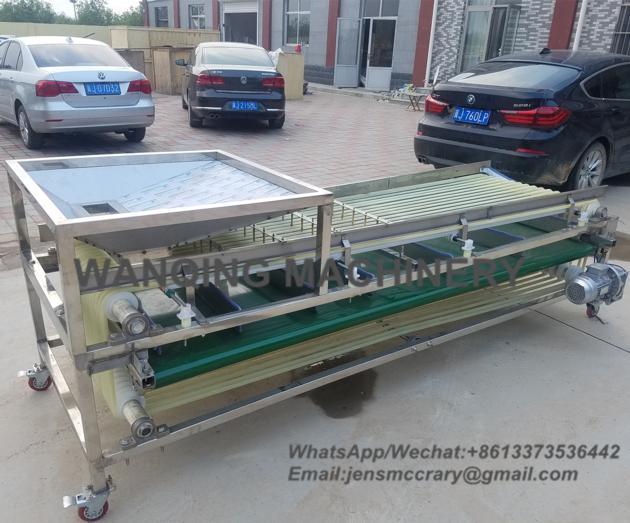Automatic Dates Sorting Machine Auto Medjool